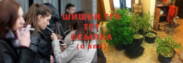 стаф Кодинск