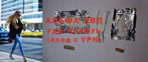 стафф Касимов
