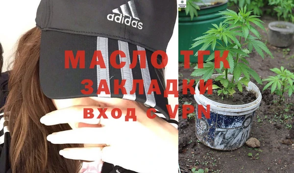 индика Осинники