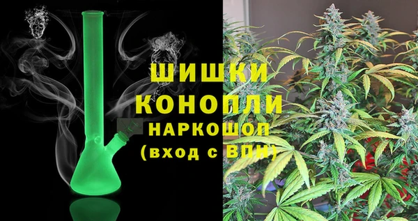 стафф Касимов
