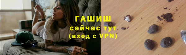 мдпв Каменка