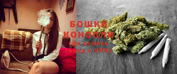 стаф Кодинск