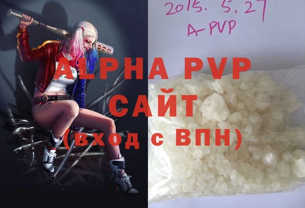 стафф Касимов