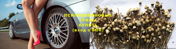 Альфа ПВП Киреевск